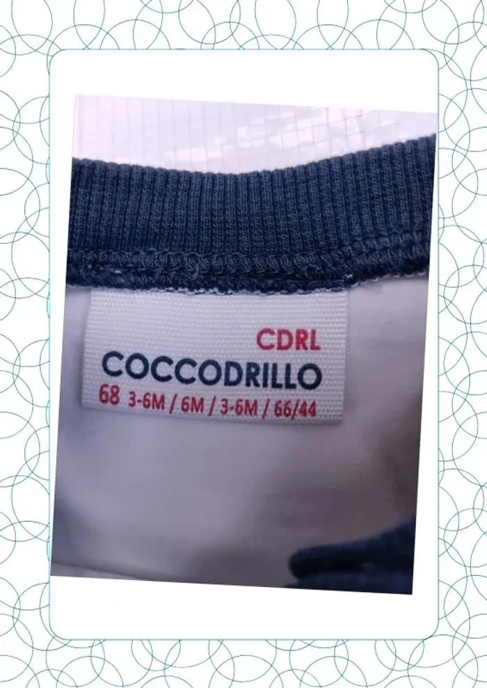 Tee shirt manches courtes 6 mois Coccodrillo - photo numéro 2