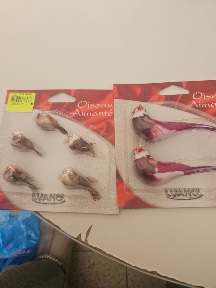 Oiseaux aimanté