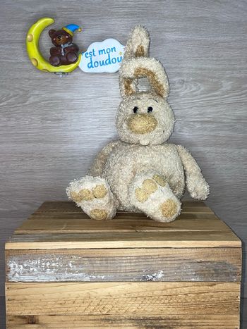 ACP68 doudou lapin 🐰 Anna club plush