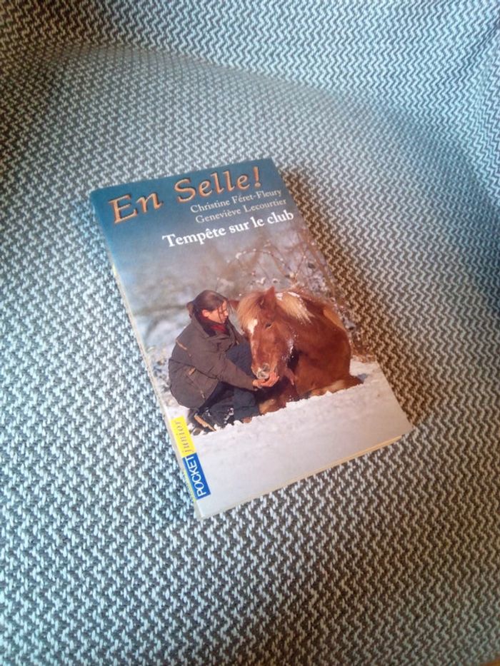 Tempête sur le club/ En selle ! T.4 - Pocket Jeunesse - photo numéro 5