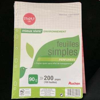 Feuilles simples perforées 200pages