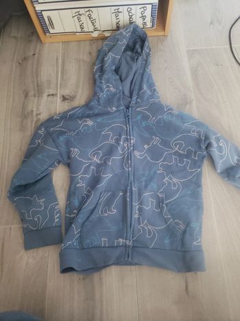 Veste capuche