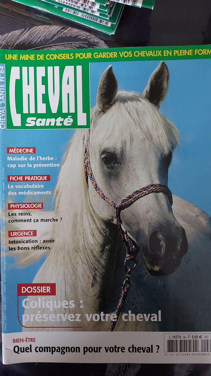 Lot Cheval santé - photo numéro 6