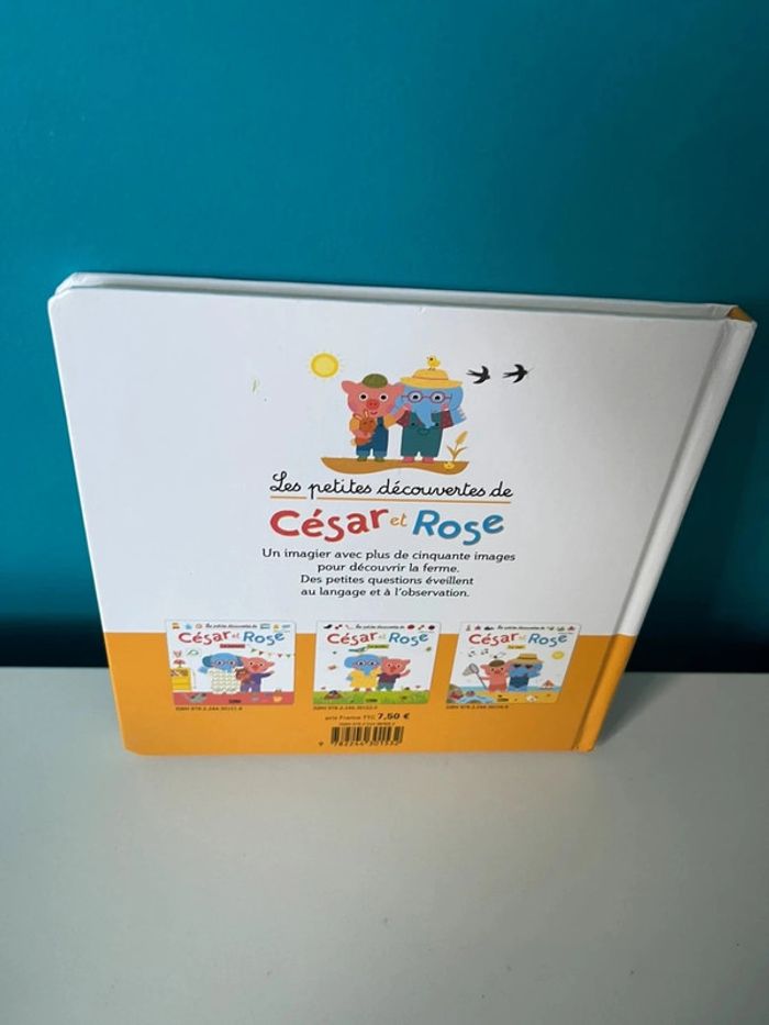 Livre les petites découvertes de César et rose la ferme - photo numéro 2