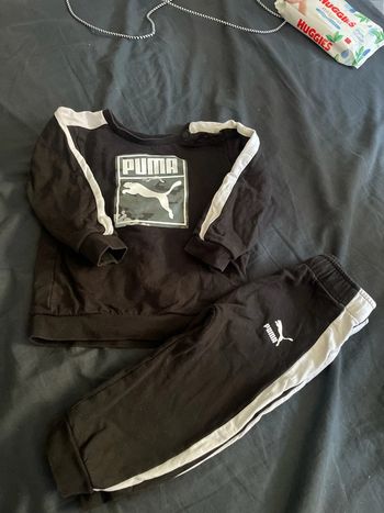 Ensemble puma