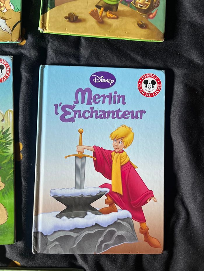 Lot de livre Disney - photo numéro 5