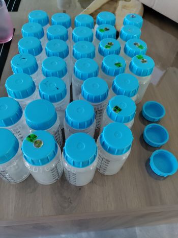 Lot bouteilles recueil de lait 
