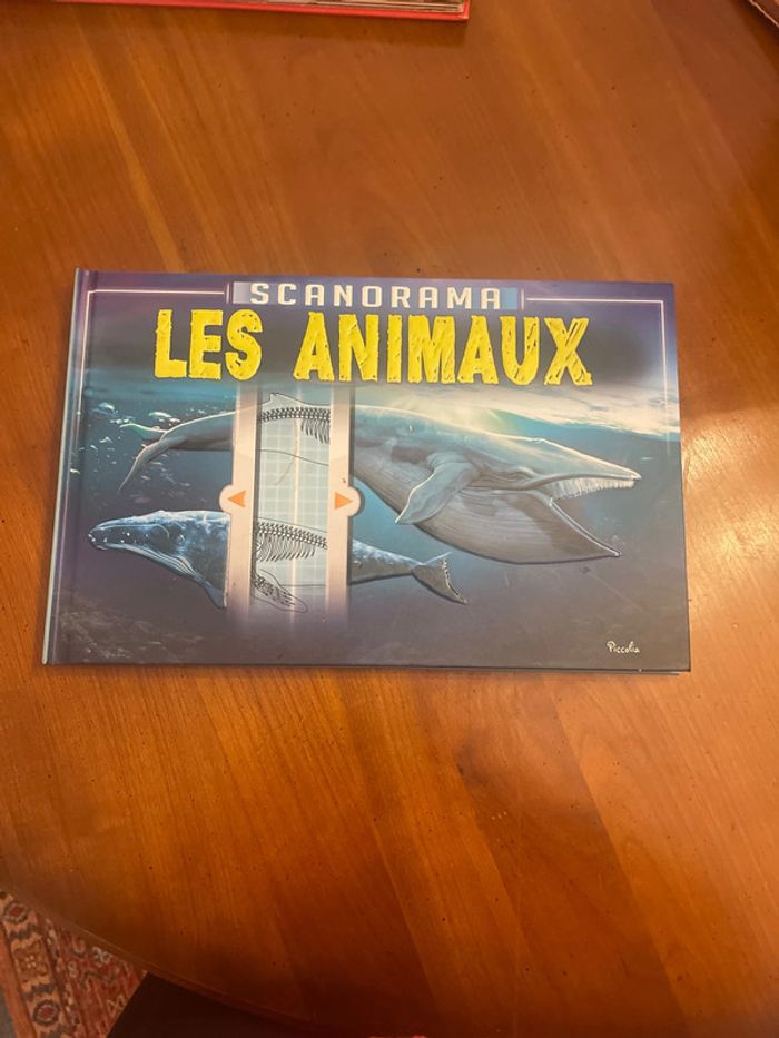 Livres enfants