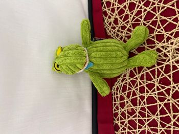 Petite Peluche Grenouille Vert Croakos Col LES DEGLINGOS