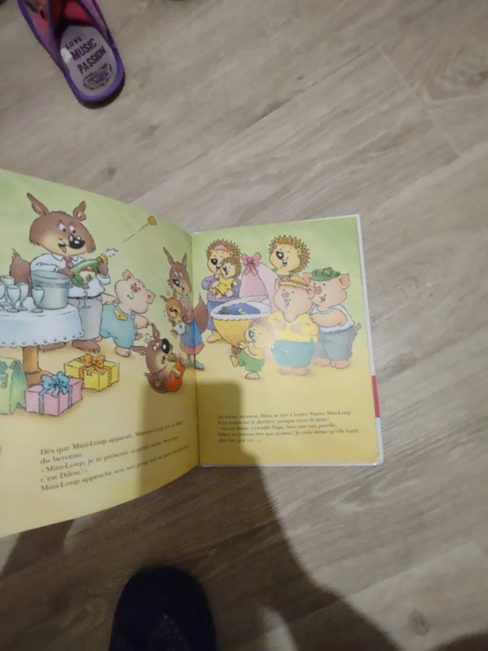 Grand livre Une petite soeur pour Mini-loup 🐺 - photo numéro 3