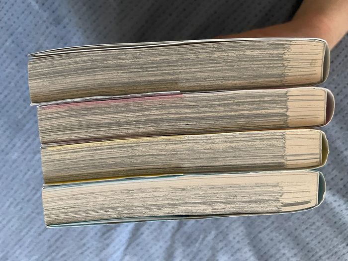 Manga Alma complet - photo numéro 3