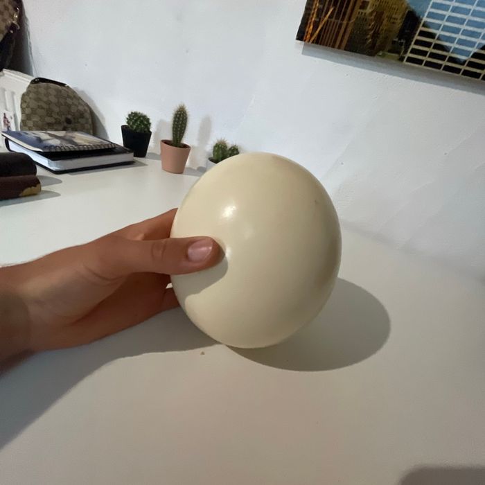 Œuf d’autruche - photo numéro 4