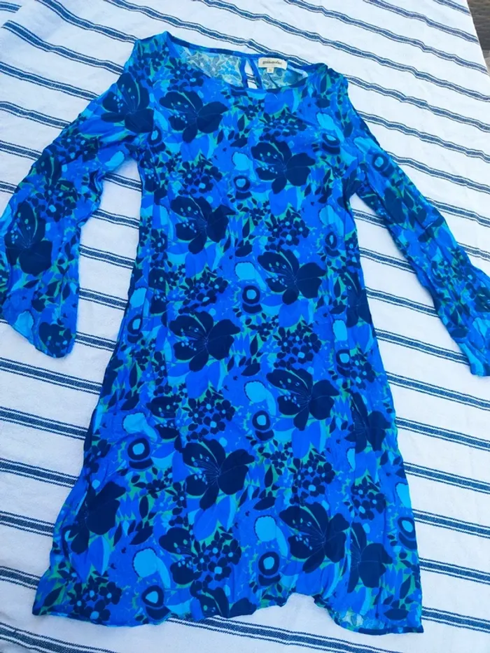 Robe bleue - photo numéro 2