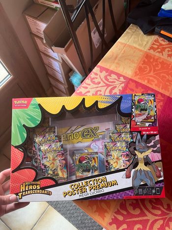 Coffret Poster Méga Lucario Ex 2.5