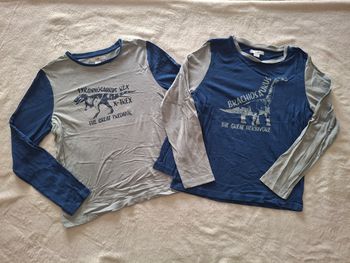 Lot t shirt dinosaure 10/12 ans 