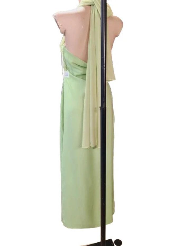 Robe de cérémonie lady pipa - photo numéro 3
