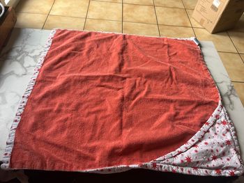 Lot de 2 capes de bain