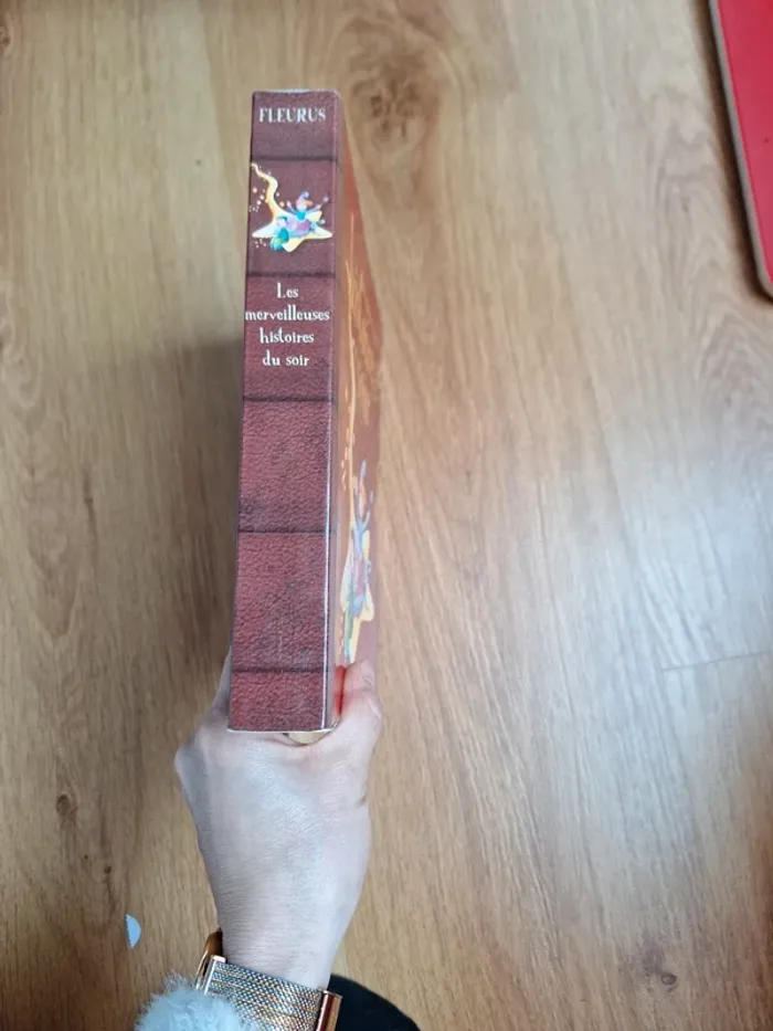 Livre d'histoire du soir - photo numéro 2