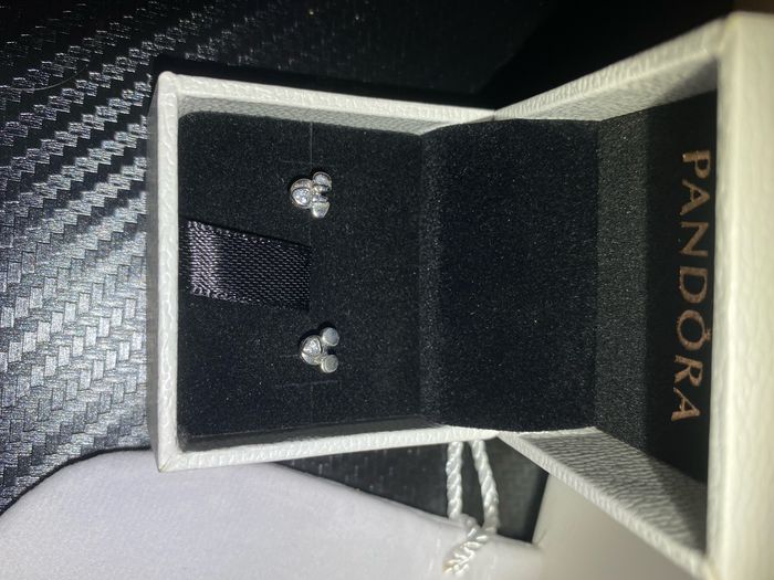 Boucle d’oreille Pandora - photo numéro 2