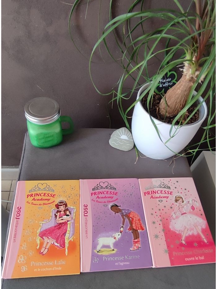 Lot 3 livres princesse academy