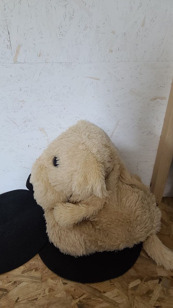 Peluche doudou chien beige yeux et nez noir Bukowski 40 cm - photo numéro 5