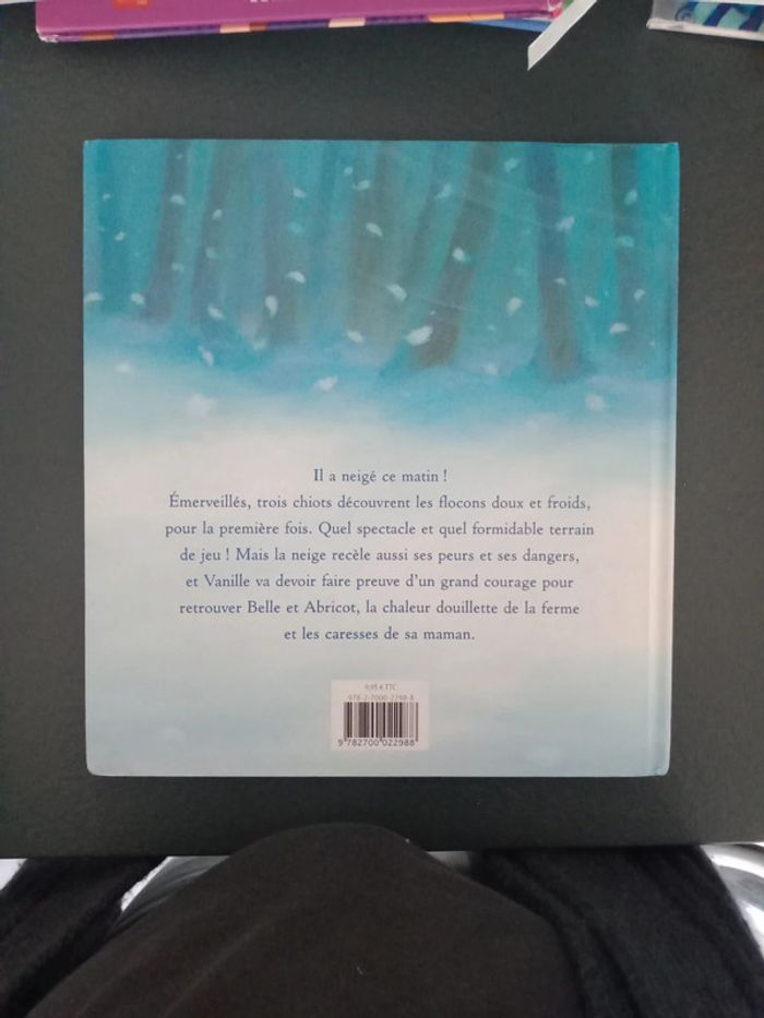 Perdu dans la neige - photo numéro 3