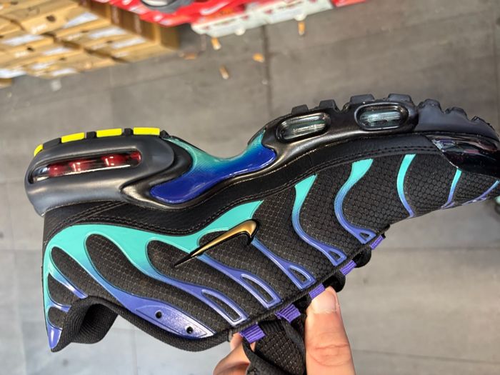 TN noire et verte - photo numéro 2