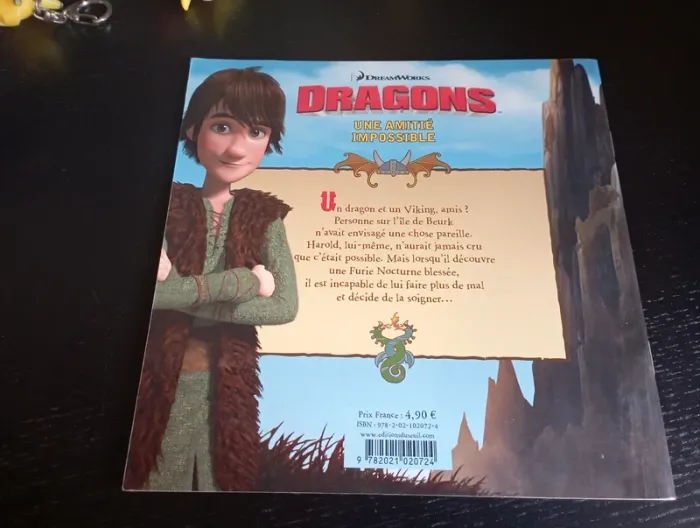 Livre dragon - photo numéro 2