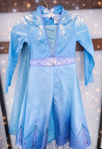 Déguisement Elsa Reine des neiges Neuf 7/8 ans