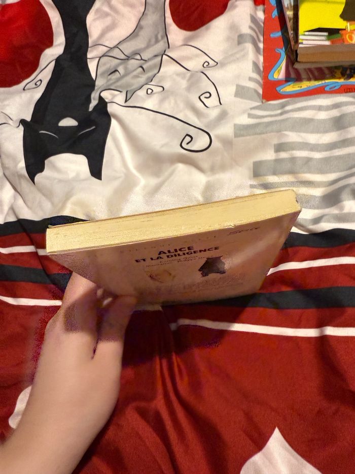 Alice et la diligence - Caroline Quine - photo numéro 4