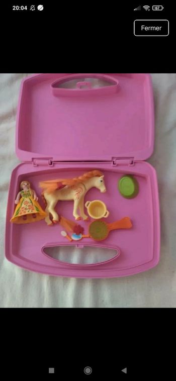 Valisette princesse playmobil