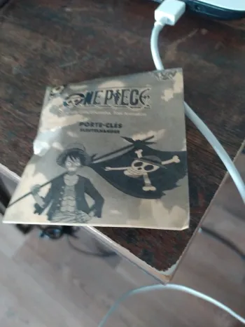 Porte-clés One Piece