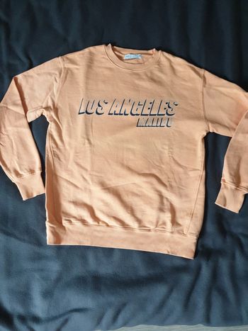 Sweat garçon Marque Zara taille 11 12 ans