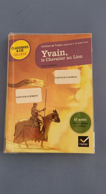 Yvain, le Chevalier au Lion de Chrétien de Troyes