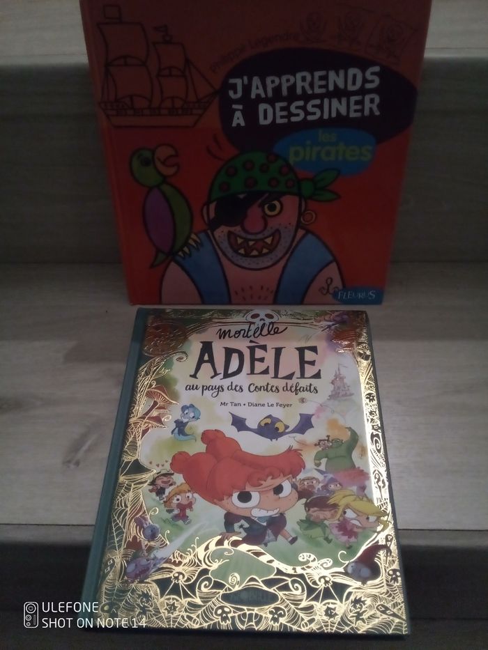 Pour Anaïs 2 livres enfants