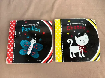 Lot de deux livres qui brille papillon et chaton