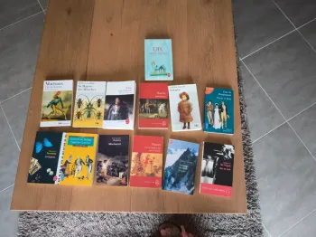 Lot de 13 livres de littérature classique