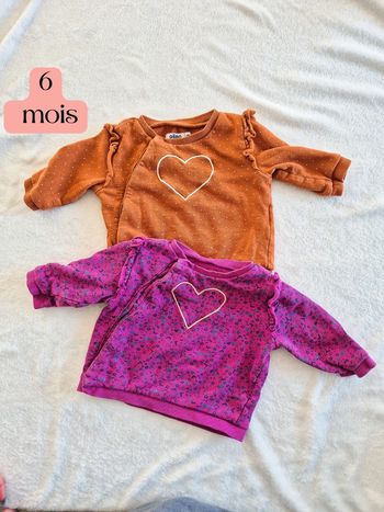 Lot 2 pulls 6 mois gemo fleurs et coeur