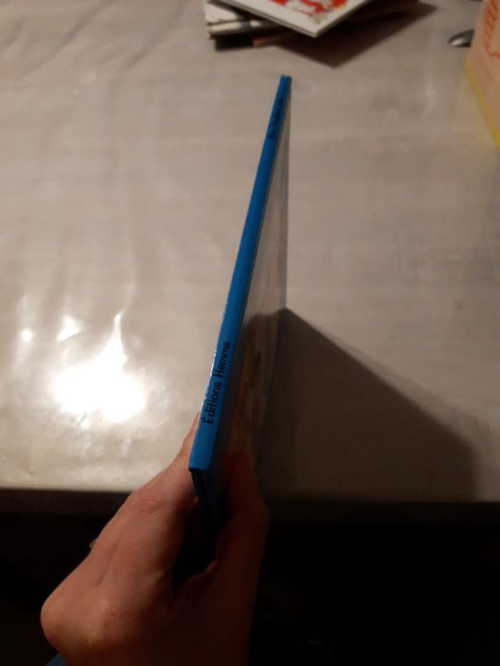 Mon toudoux vole - photo numéro 2