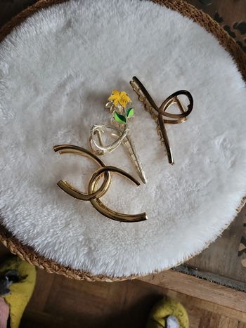 Lot 3 pinces à cheveux originales