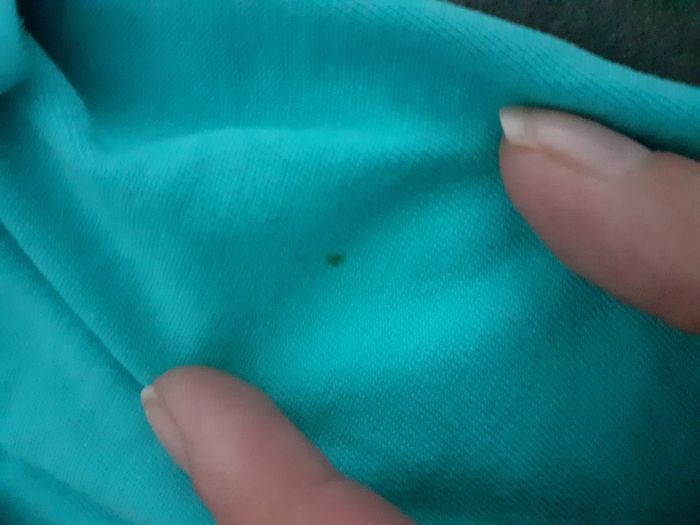 Tee-shirt - photo numéro 2