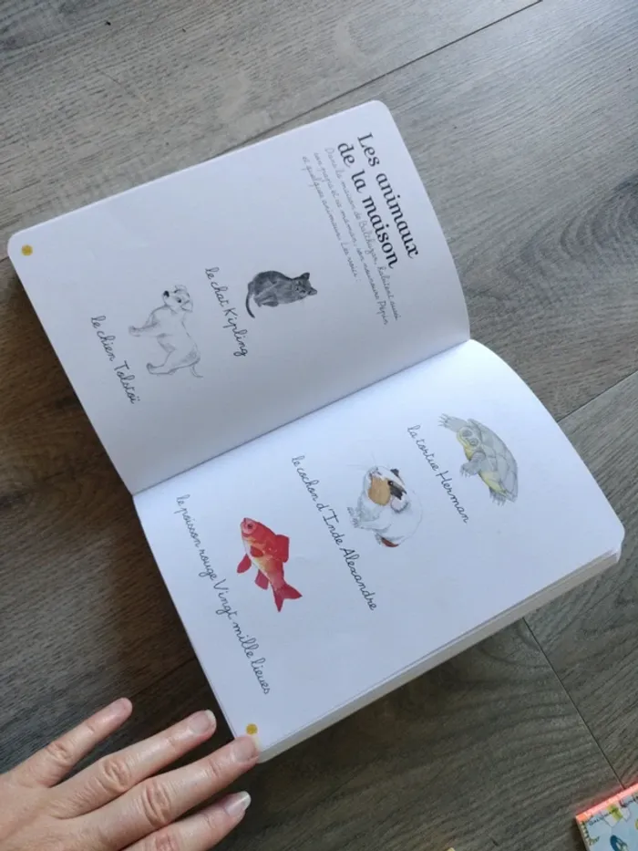 Lot imagiers - photo numéro 10