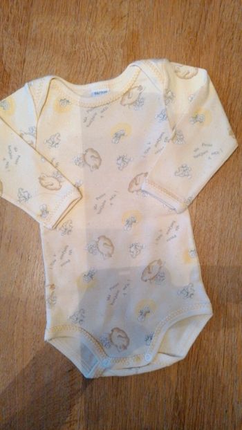 Bodie banquise petit bateau