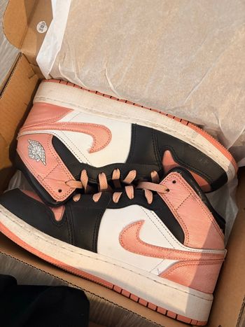 Air Jordan 1 mid Light Madder Root