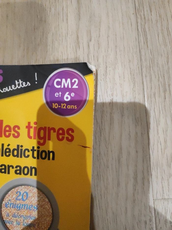 Petites enquêtes trop chouettes - photo numéro 2