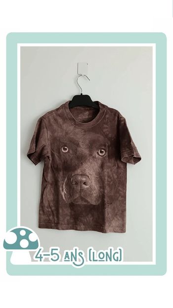 🍄 t-shirt 4-5 ans the mountain