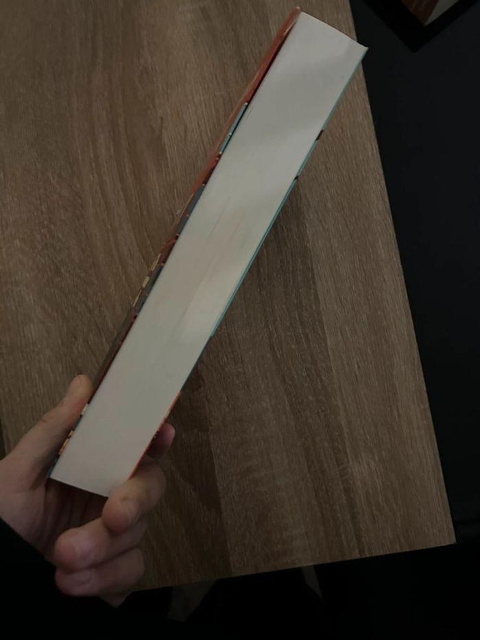 Une fille comme elle de Marc Levy - photo numéro 4