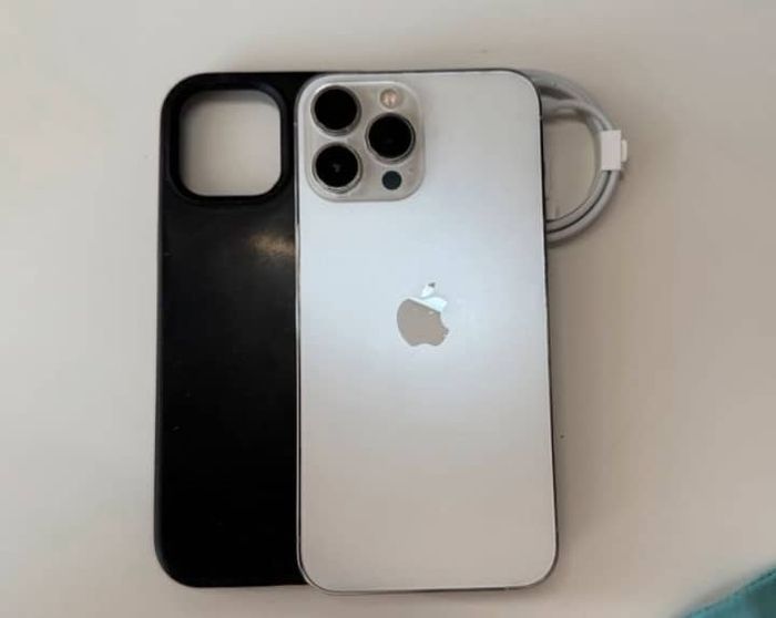 Apple. - photo numéro 3