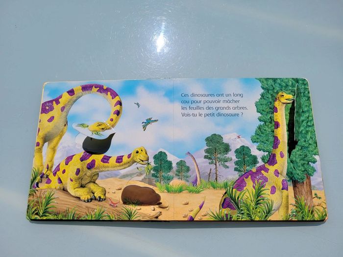 Livre animé de rabats : Où est caché ? Les dinosaures, usborne (48) - photo numéro 6
