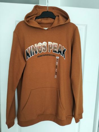 Sweat à capuche 16 ans neuf 